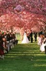Brooklyn Botanic Garden Wedding Venues in NYC